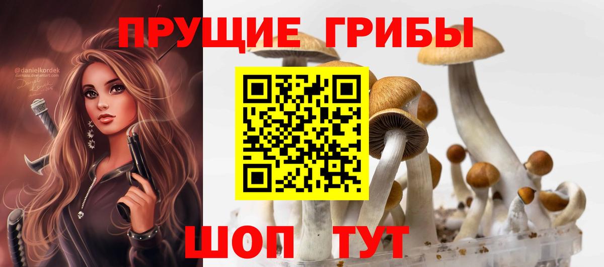 Галлюциногенные грибы Psilocybine cubensis  Вход с VPN  Отрадное  где найти   Галлюциногенные грибы GOLDEN TEACHER 